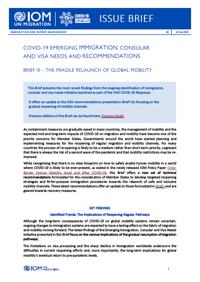 Covid 19 Emerging Immigration Consular And Visa Needs Recommendations International Organization For Migration