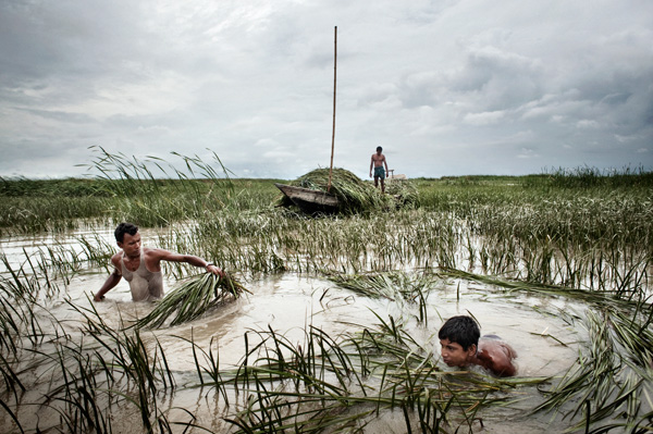 Environment pollution in bangladesh. Environment. 2019-02-04